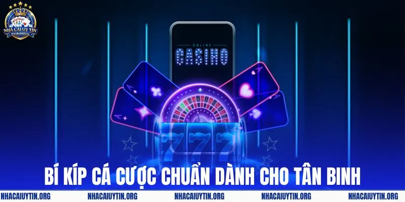Bí kíp cá cược chuẩn dành cho tân binh