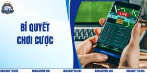 Bật Mí Bí Quyết Chơi Cược Trong Trận Hiệu Quả Nhất Năm 2026
