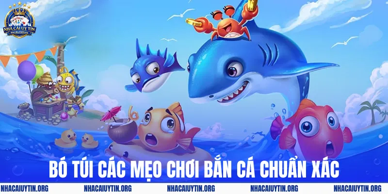 Bó túi các mẹo chơi bắn cá chuẩn xác