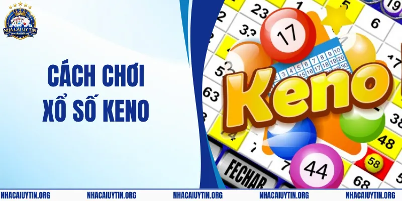 Cách Chơi Xổ Số Keno – Chia Sẻ Thông Tin Chi Tiết & Dễ Hiểu 