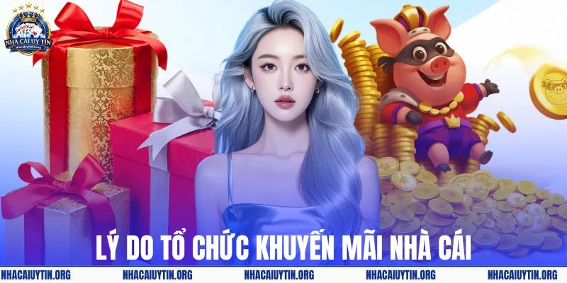 Lý do tổ chức khuyến mãi nhà cái