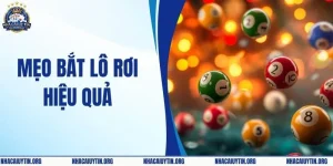 Mẹo Bắt Lô Rơi Hiệu Quả Nhất Giúp Tăng Tỷ Lệ Về Số