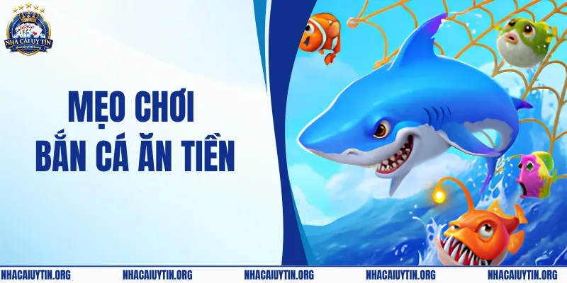 Top Những Mẹo Chơi Bắn Cá Ăn Tiền Hiệu Quả Nhất Năm 2026
