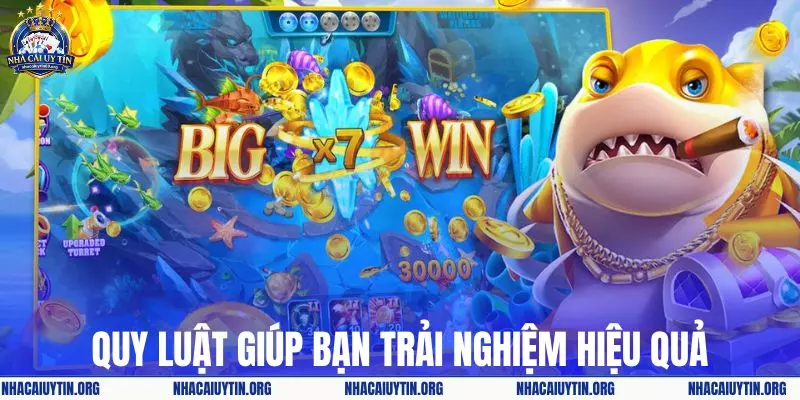 Quy luật giúp bạn trải nghiệm hiệu quả để nhận thưởng