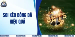Từ A-Z Luật Soi Kèo Bóng Đá Hiệu Quả Dễ Hiểu Nhất